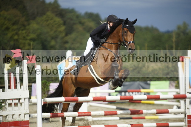 _DSC2883 | equestrian-live-com