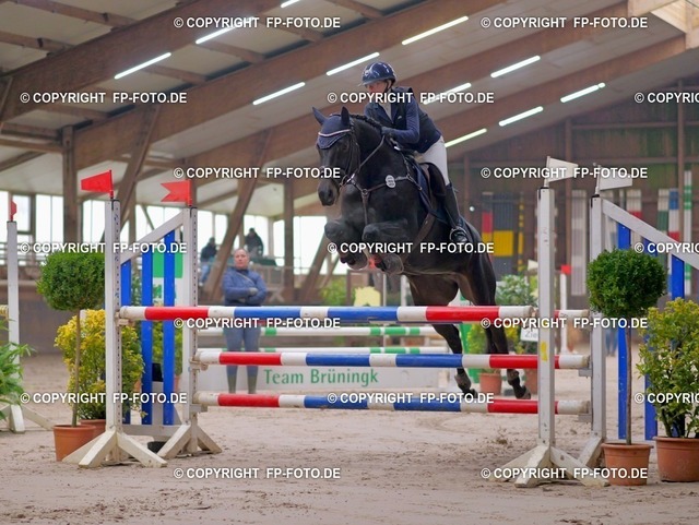 P0172256.t | FP-Foto.de - Realisiert mit Pictrs.com