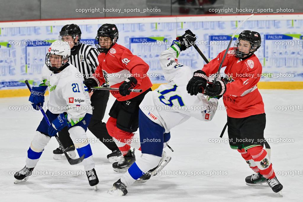 Österreich U17 vs. Slowenien U18  | Felix Wimmer Referee, Österreich U17 vs. Slowenien U18 , Österreich U17 vs. Slowenien U18  am 14.12.2024 in Ferlach (Eishalle Ferlach ), Austria, (Photo by Bernd Stefan)