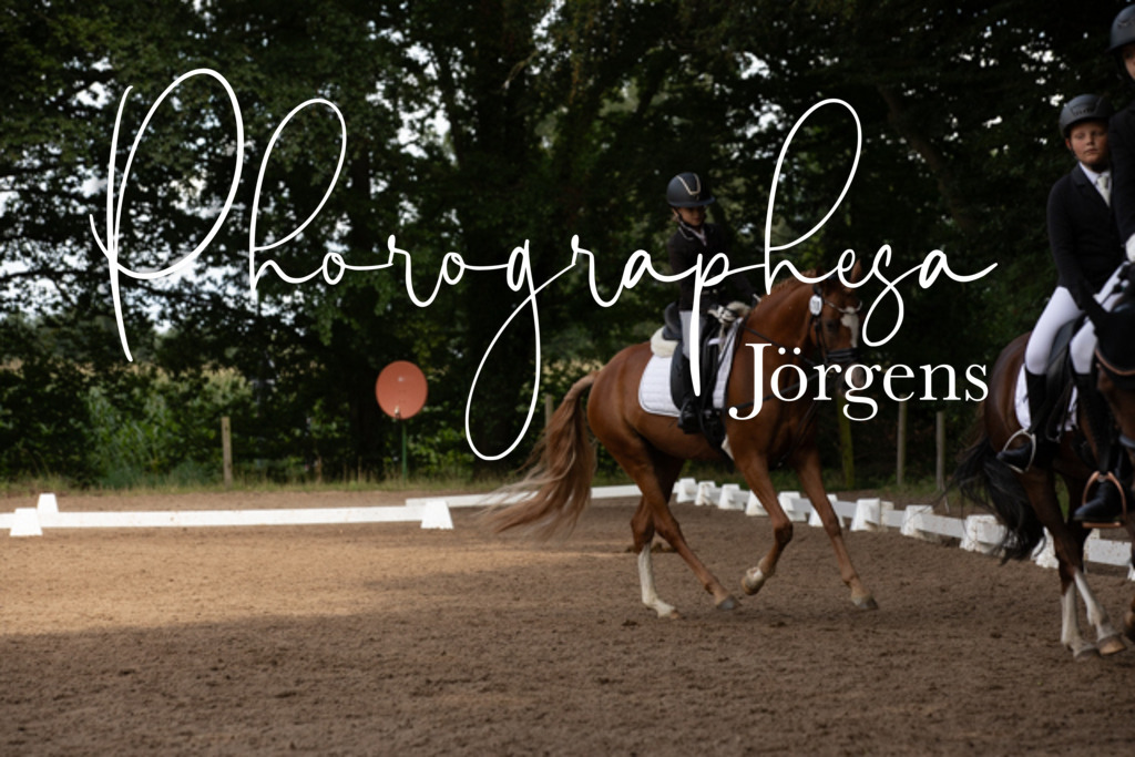 IMG_2175 | photographesa-joergens - Realisiert mit Pictrs.com