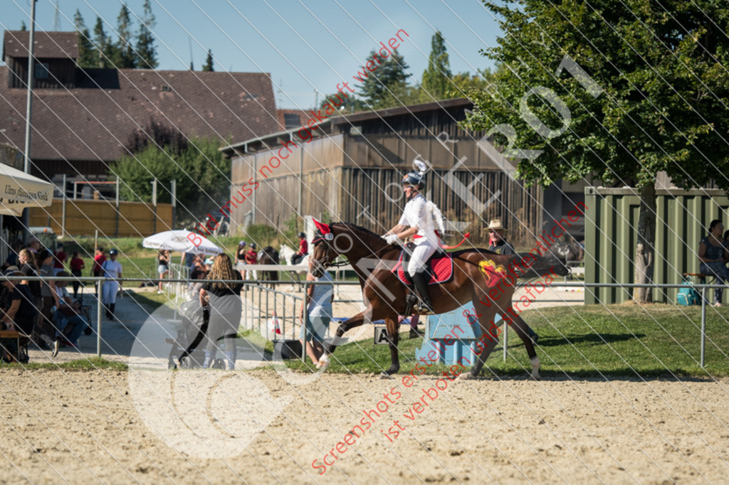 ND5_9887 | Hier findest Du viele Augenblicke aus den Bereichen der Turnier-, Sport- & Tierfotografie. Bilder mit deinem Liebling, Portrait-, Bewerbungs-, Businessbilder können ebenfalls schnell und einfach erstellt werden.