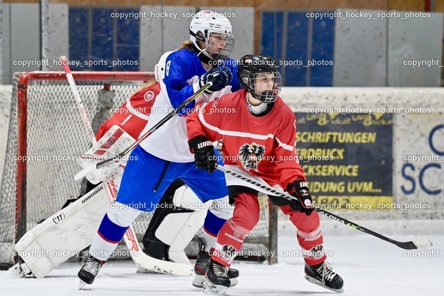 BST_3792 | hockey sports photos, Pressefotos, Sportfotos, hockey247, win 2day icehockeyleague, Handball Austria, Floorball Austria, ÖVV, Kärntner Eishockeyverband, KEHV, KFV, Kärntner Fussballverband, Österreichischer Volleyballverband, Alps Hockey League, ÖFB, 