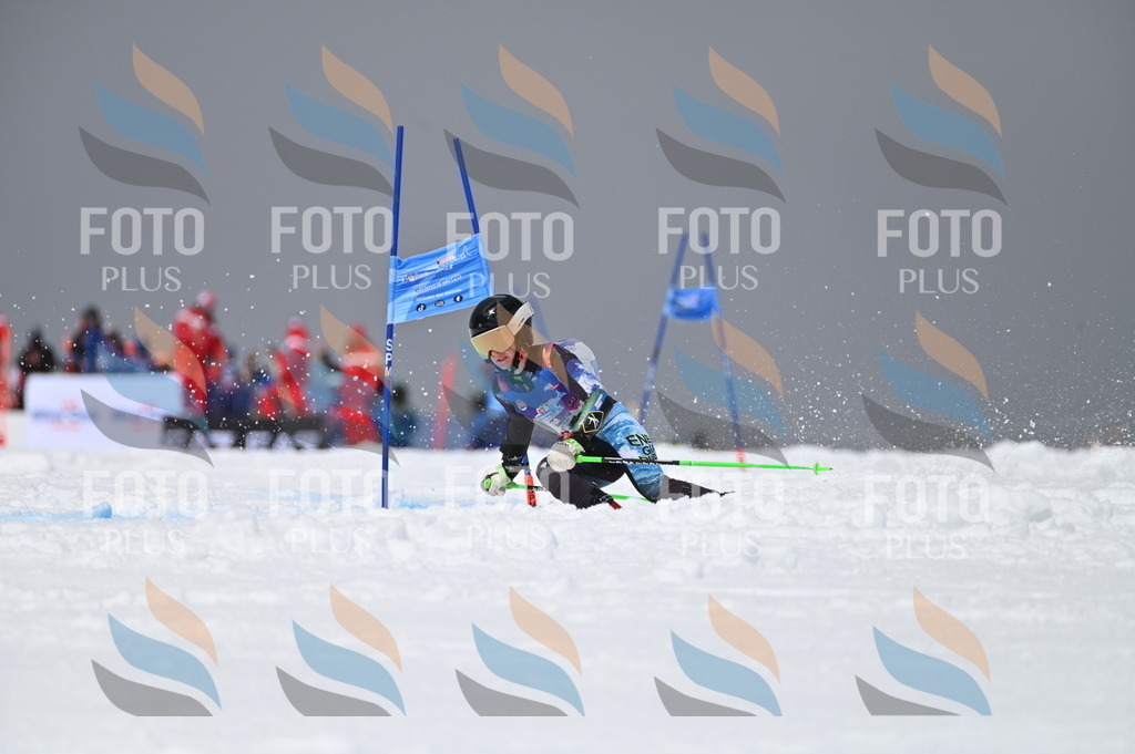 AGV_4859 | holidayphoto