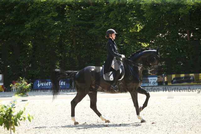 Ichenheim_2022_Dressur_Kl.S_Lotte Heuser_Don-Franco - M (10) | Alle Fotos der Reiterjournal Fotografin Doris Matthaes im Reiterjournal Online-Fotoshop. - Realisiert mit Pictrs.com