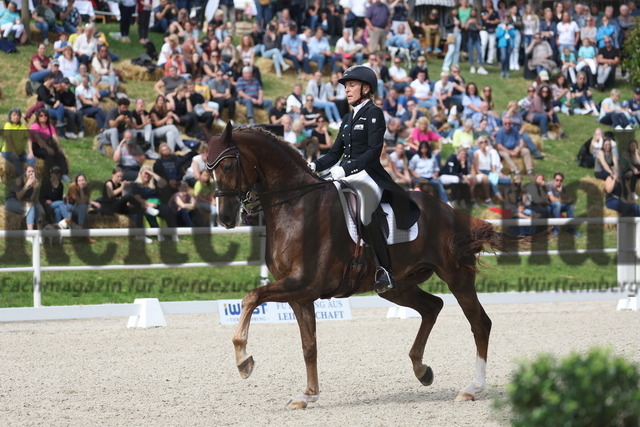 Birkhof_2023_Prfg.Nr.03_Intermediaire II_Louisdor_Ingrid Klimke_EQUITANAs Firlefranz (29) | Alle Fotos der Reiterjournal Fotografin Doris Matthaes im Reiterjournal Online-Fotoshop. - Realisiert mit Pictrs.com