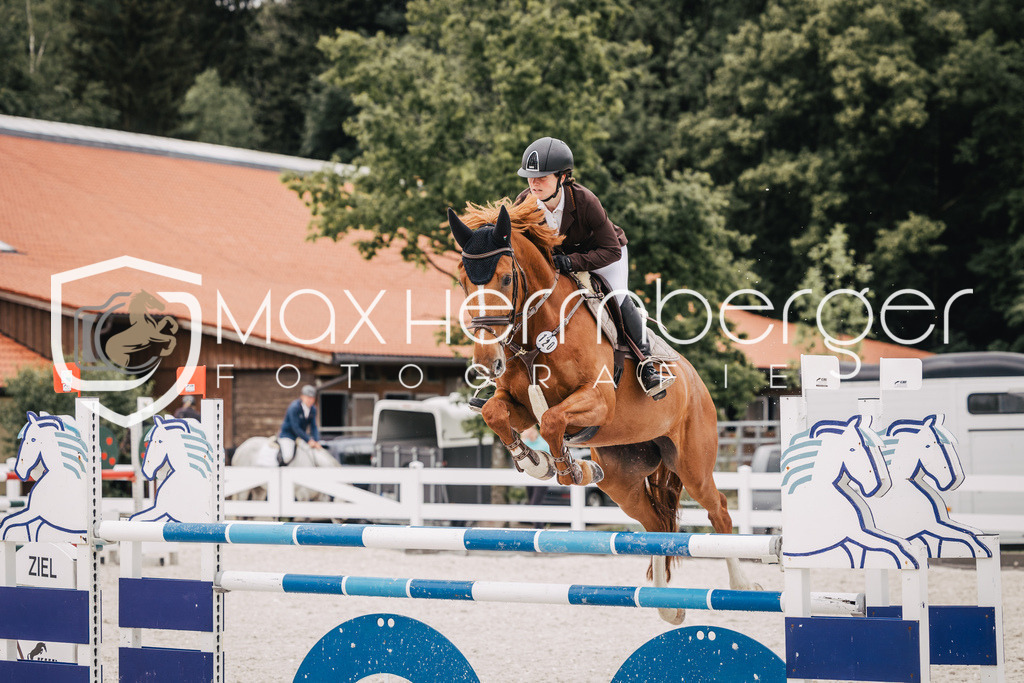 Bohmerhof-Sp-4438 | max-herrnberger