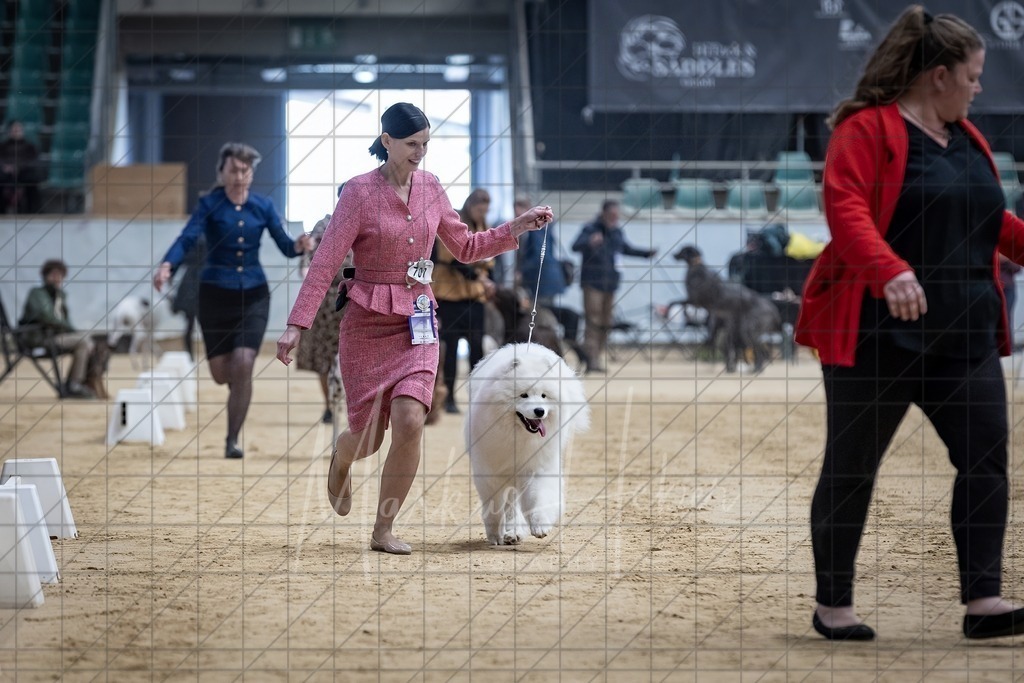 DS - Best in Show_0010 | Markus Heber Photography