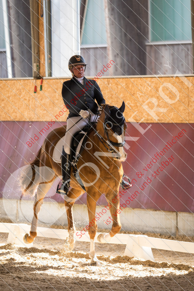 IMG_8834 | Hier findest Du viele Augenblicke aus den Bereichen der Turnier-, Sport- & Tierfotografie. Bilder mit deinem Liebling, Portrait-, Bewerbungs-, Businessbilder können ebenfalls schnell und einfach erstellt werden.