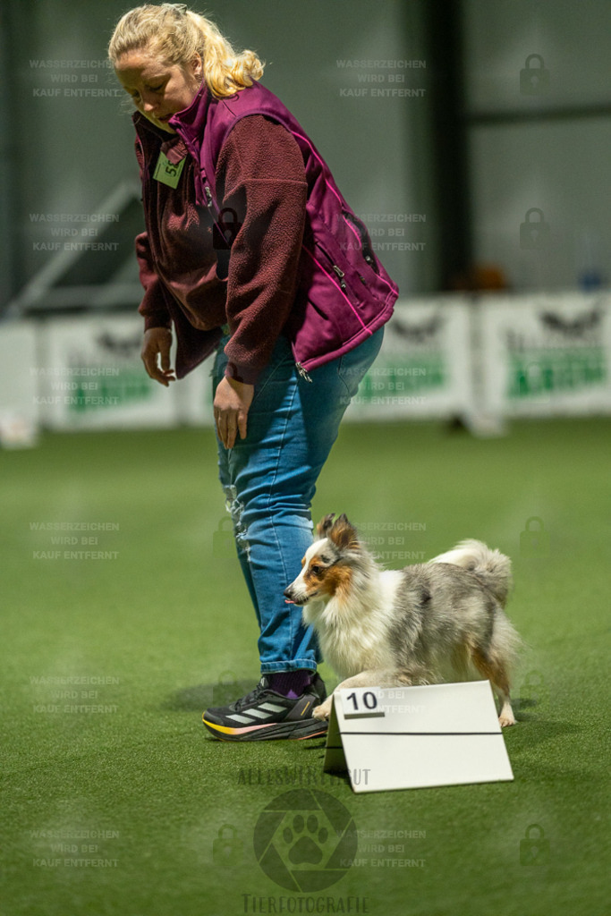 7IV08541 | Professionelle Tierfotografie in Mönchengladbach von Daniel Wirth (allesWIRTHgut). Liebevolle & natürliche Bilder von Hunden & Katzen für unvergessliche Erinnerungen.