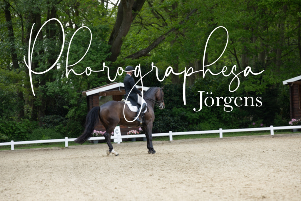 IMG_8479 | photographesa-joergens - Realisiert mit Pictrs.com