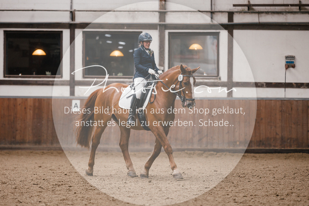 3I6A7293 | Stimmungsvolle Portraits und Reitsportfotografie im Ruhrgebiet und im Münsterland.

Pferdefotografie, Hundefotografie, Tierfotografie, Reportagen, Portraits von Tier und Mensch, Turnierfotografie in Bochum, Recklinghausen, Marl, Haltern am See, Dülmen.. - Realisiert mit Pictrs.com