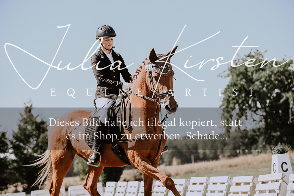 DSC_8362 | Pferde- und Turnierfotografie in Westsachsen. Pferdeportraits, Auftragszeichnungen und intuitive Kunst.