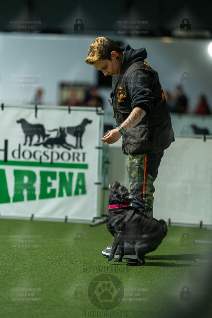 7IV05485 | Professionelle Tierfotografie in Mönchengladbach von Daniel Wirth (allesWIRTHgut). Liebevolle & natürliche Bilder von Hunden & Katzen für unvergessliche Erinnerungen.