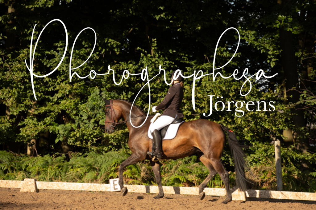 IMG_1268 | photographesa-joergens - Realisiert mit Pictrs.com