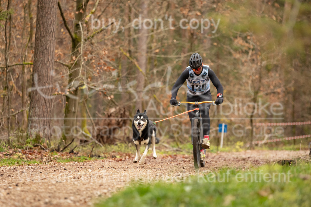 CJ8A3643 | Herzlich Willkommen im Onlineshop von tierische Augenblicke.
Viel Spaß beim aussuchen ihrer Bilder und vielen Dank für ihren Einkauf.
Viele Grüße, ihr Fotograf Stefan Grube