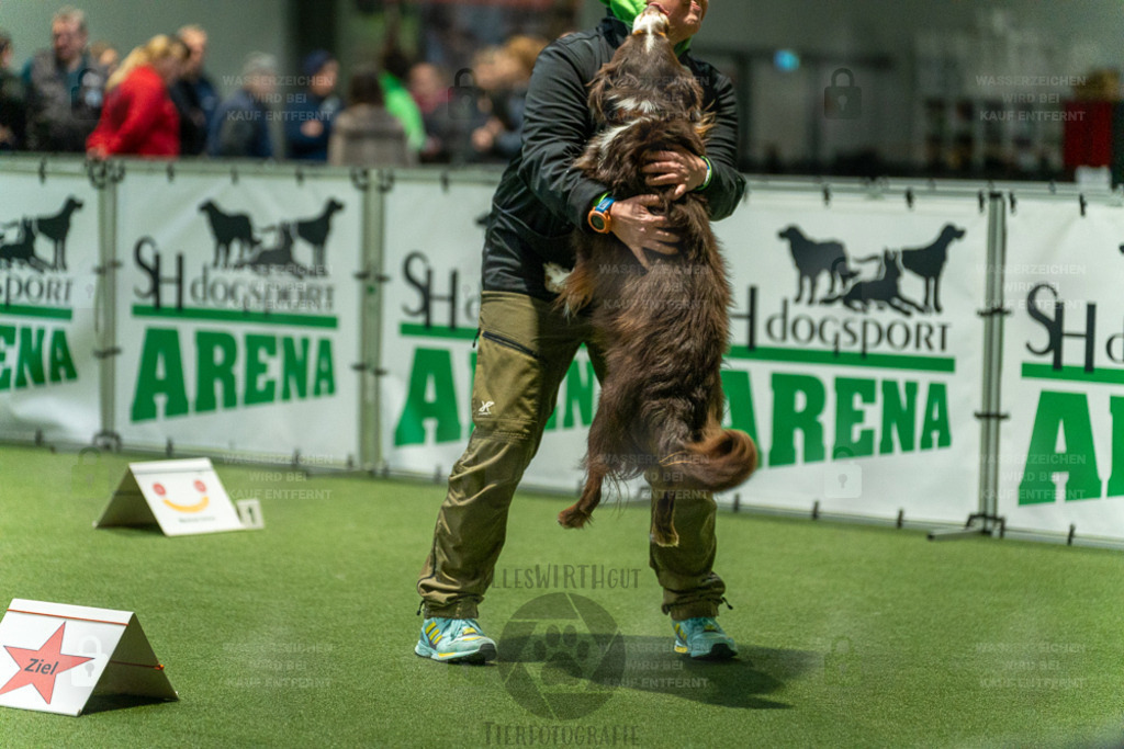 7IV01472 | Professionelle Tierfotografie in Mönchengladbach von Daniel Wirth (allesWIRTHgut). Liebevolle & natürliche Bilder von Hunden & Katzen für unvergessliche Erinnerungen.