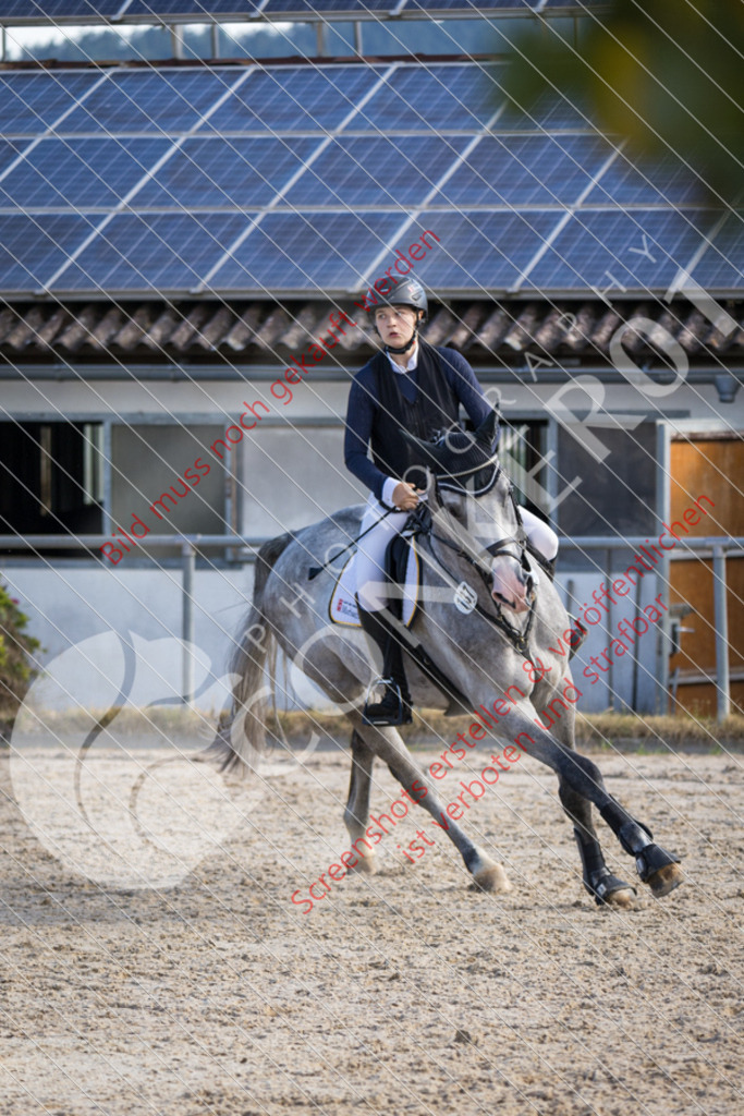 IMG_4746 | Hier findest Du viele Augenblicke aus den Bereichen der Turnier-, Sport- & Tierfotografie. Bilder mit deinem Liebling, Portrait-, Bewerbungs-, Businessbilder können ebenfalls schnell und einfach erstellt werden.