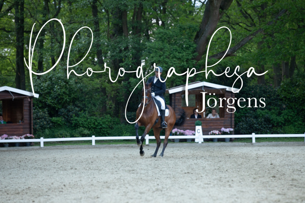 IMG_9573 | photographesa-joergens - Realisiert mit Pictrs.com