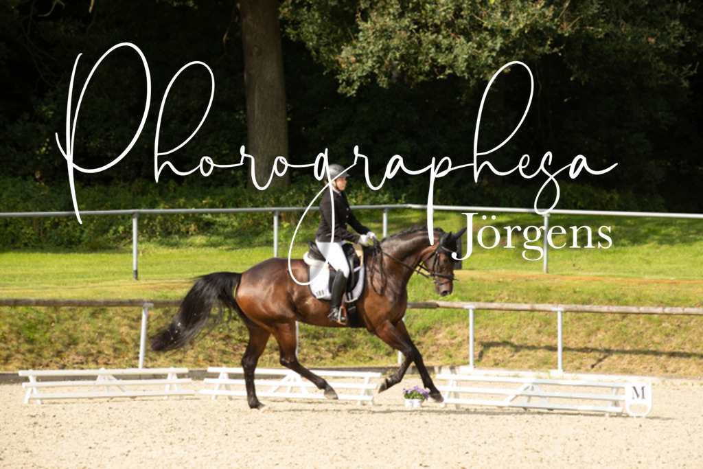 IMG_7713 | photographesa-joergens - Realisiert mit Pictrs.com