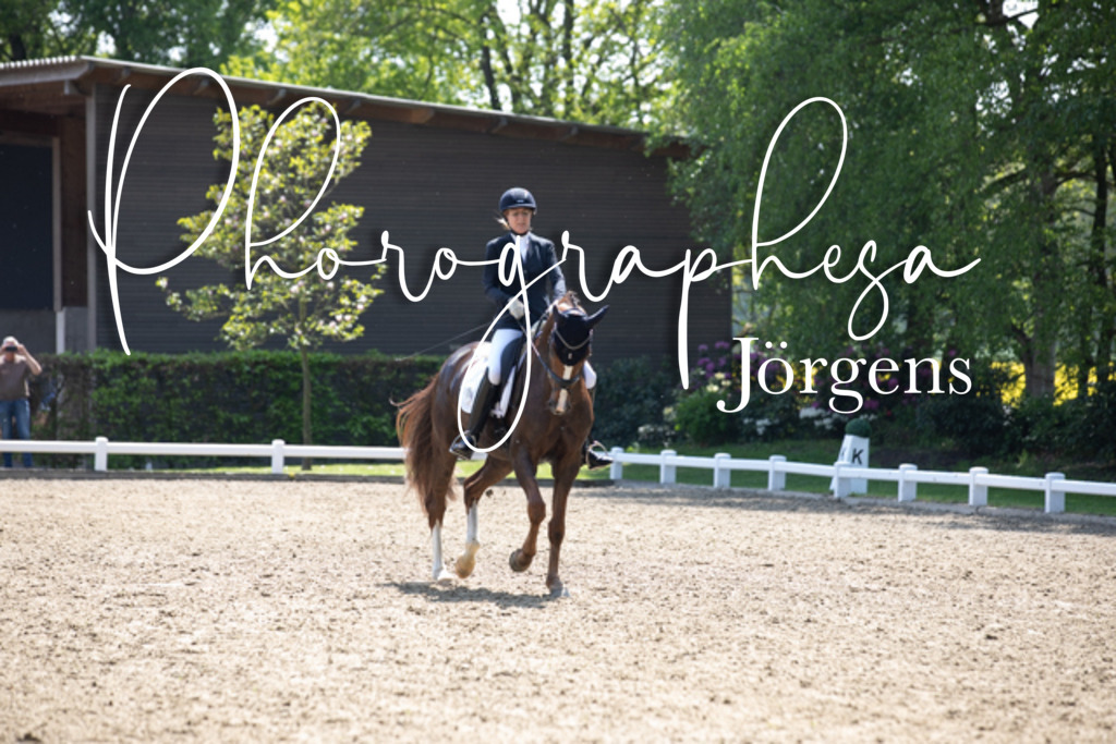 IMG_8852 | photographesa-joergens - Realisiert mit Pictrs.com