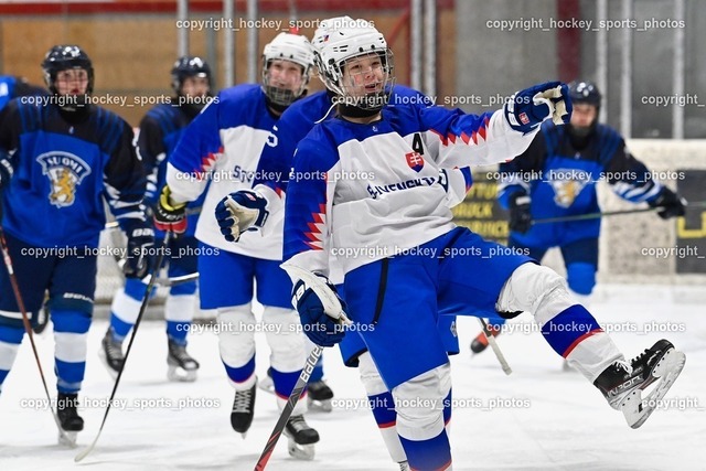 BST_4427 | hockey sports photos, Pressefotos, Sportfotos, hockey247, win 2day icehockeyleague, Handball Austria, Floorball Austria, ÖVV, Kärntner Eishockeyverband, KEHV, KFV, Kärntner Fussballverband, Österreichischer Volleyballverband, Alps Hockey League, ÖFB, 