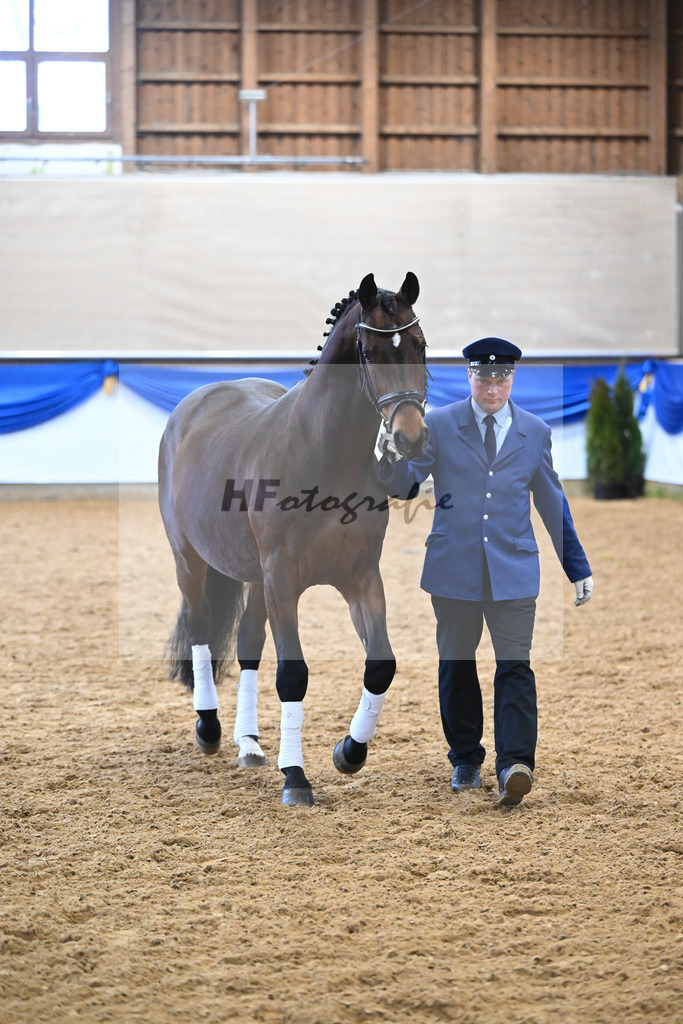 Imperio_3230573 | hf-fotografie - Realisiert mit Pictrs.com