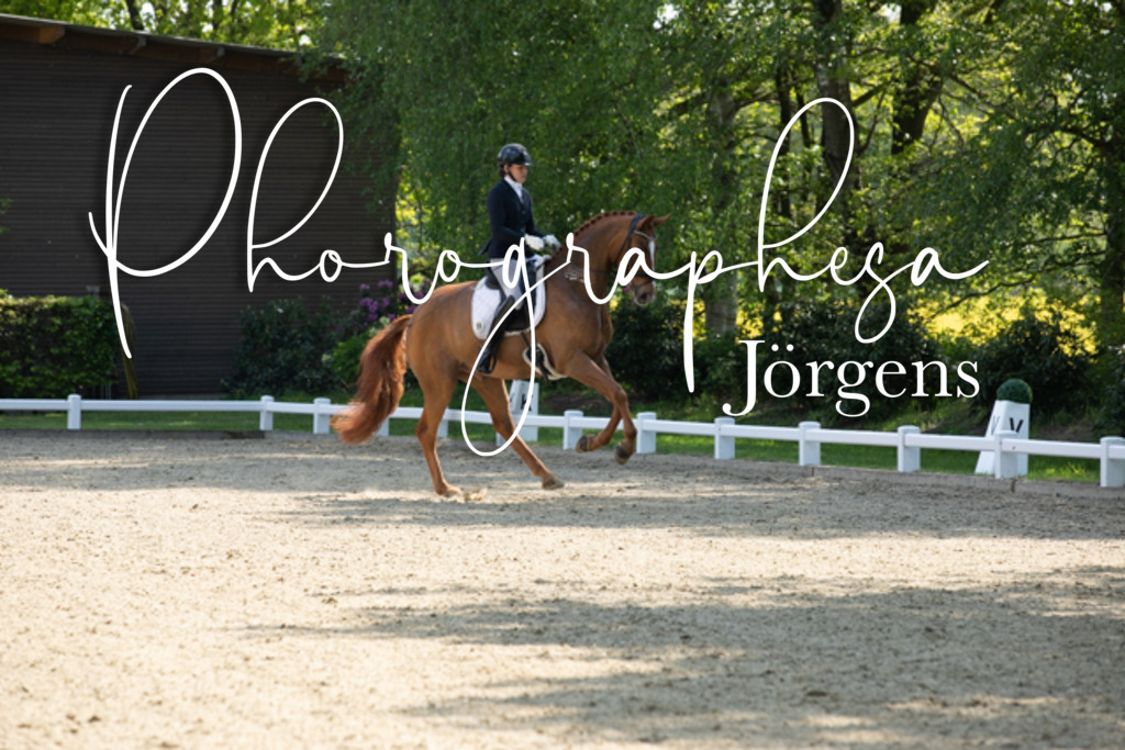 IMG_6094 | photographesa-joergens - Realisiert mit Pictrs.com