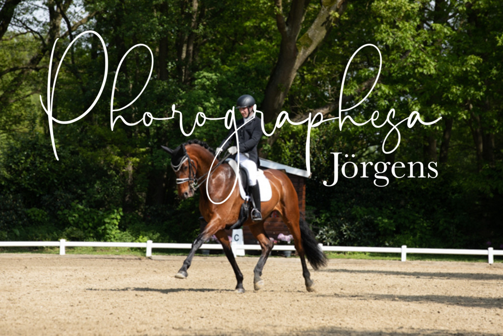 IMG_0557 | photographesa-joergens - Realisiert mit Pictrs.com