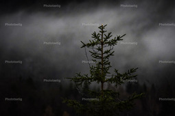 IMG_5290 | phototaetig