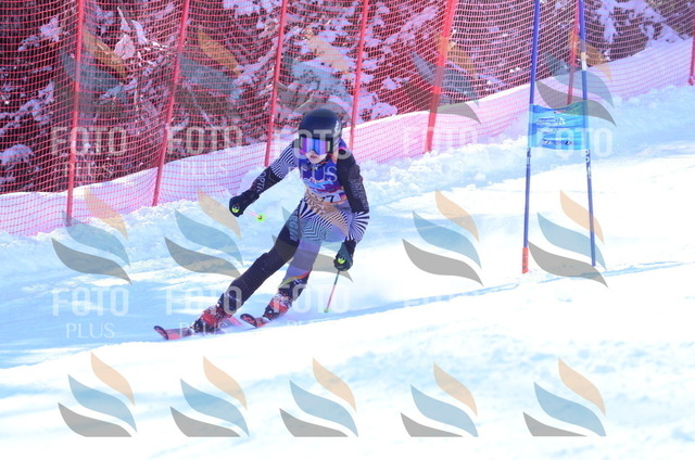 B5685 | holidayphoto