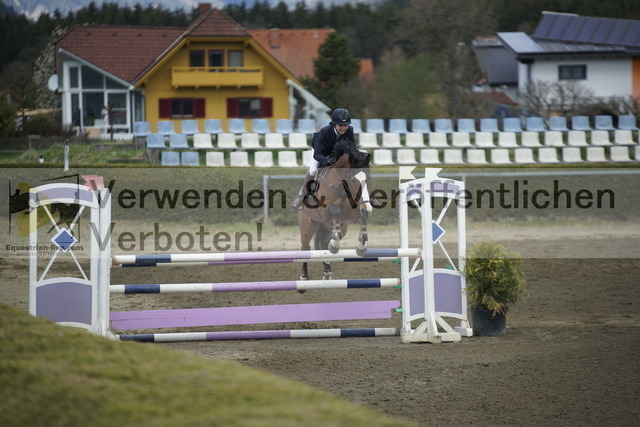 _DSC8775 | equestrian-live-com