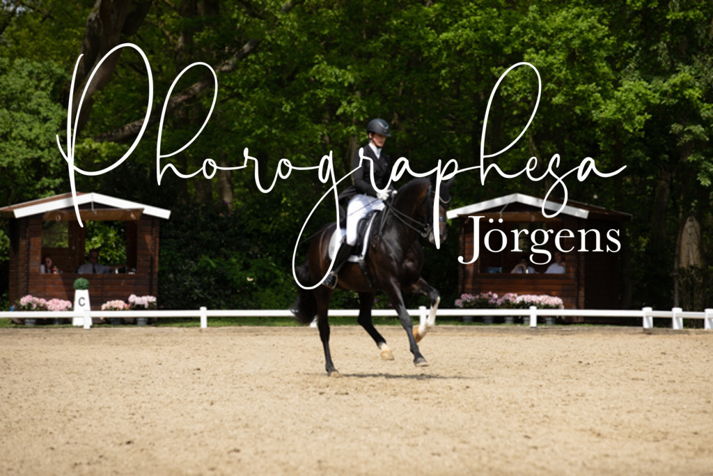 IMG_1898 | photographesa-joergens - Realisiert mit Pictrs.com