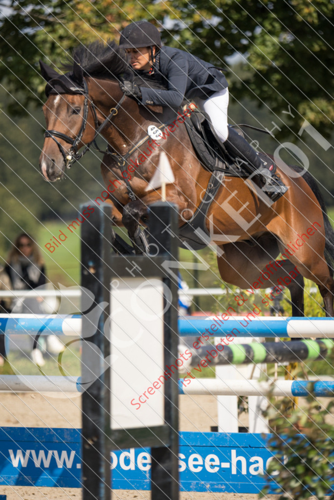 IMG_2574 | Hier findest Du viele Augenblicke aus den Bereichen der Turnier-, Sport- & Tierfotografie. Bilder mit deinem Liebling, Portrait-, Bewerbungs-, Businessbilder können ebenfalls schnell und einfach erstellt werden.