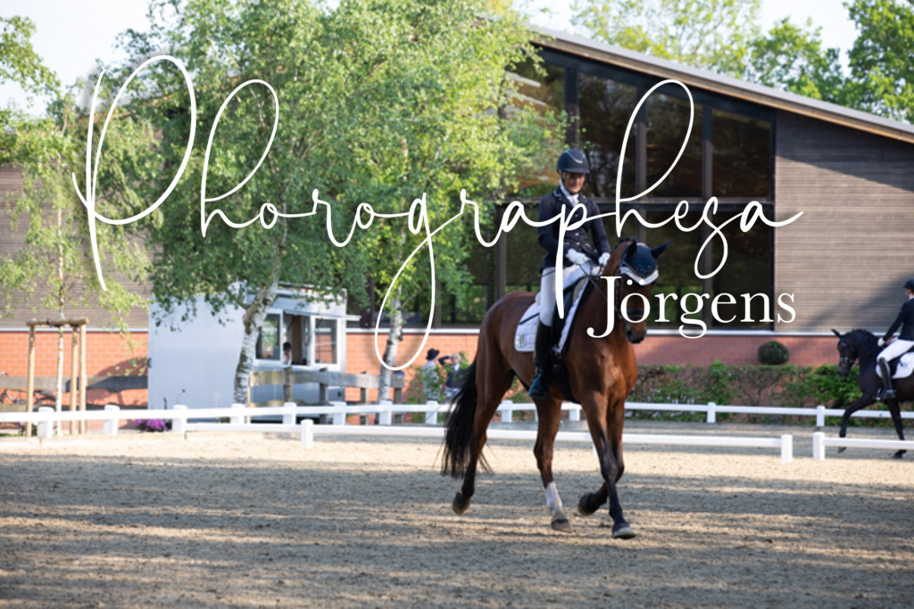 IMG_1237 | photographesa-joergens - Realisiert mit Pictrs.com