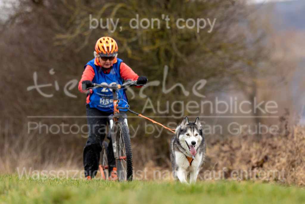 CJ8A4071 | Herzlich Willkommen im Onlineshop von tierische Augenblicke.
Viel Spaß beim aussuchen ihrer Bilder und vielen Dank für ihren Einkauf.
Viele Grüße, ihr Fotograf Stefan Grube