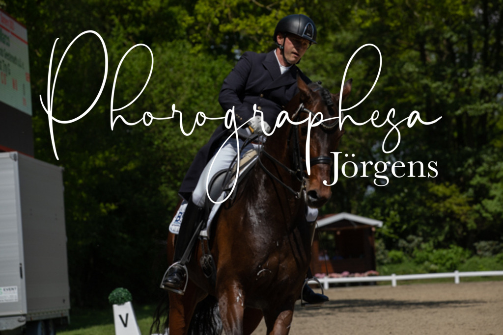 IMG_5110 | photographesa-joergens - Realisiert mit Pictrs.com