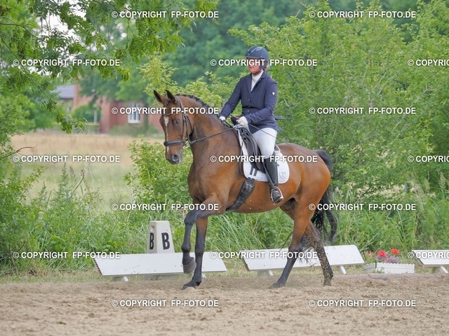 P14X6104 | FP-Foto.de - Realisiert mit Pictrs.com