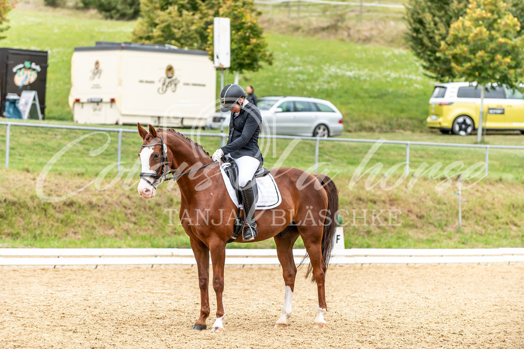 TBL_2071 | Turnierfotos von Reitturnieren in den Landkreisen Biberach, Ravensburg und in ganz Oberschwaben - von Tanja Bläschke - Colorsofahorse - Realisiert mit Pictrs.com