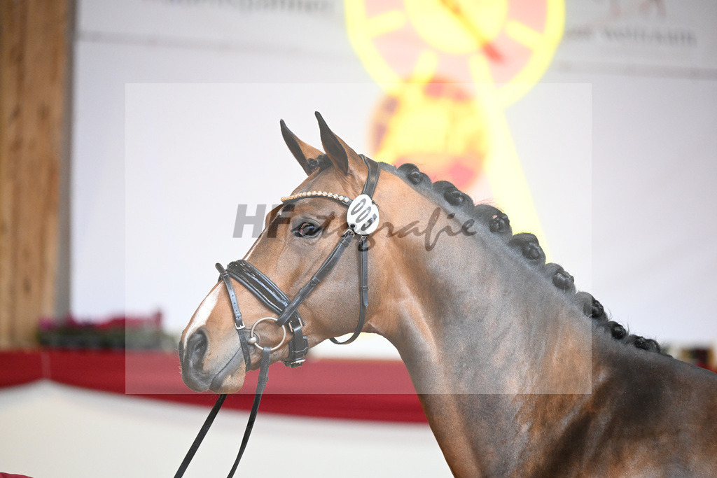 Kat-Nr. 5 Carrera VDL_Schep_1231128 | hf-fotografie - Realisiert mit Pictrs.com