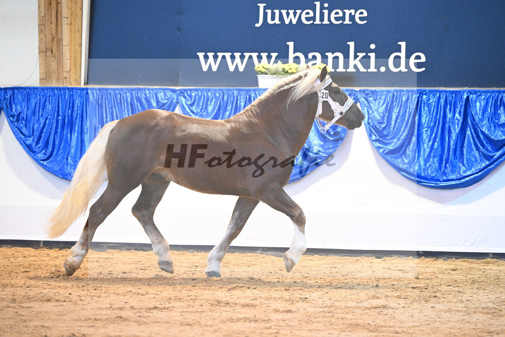 Kat-Nr. 20 nn v. Rusty_Stadler_61220859 | hf-fotografie - Realisiert mit Pictrs.com
