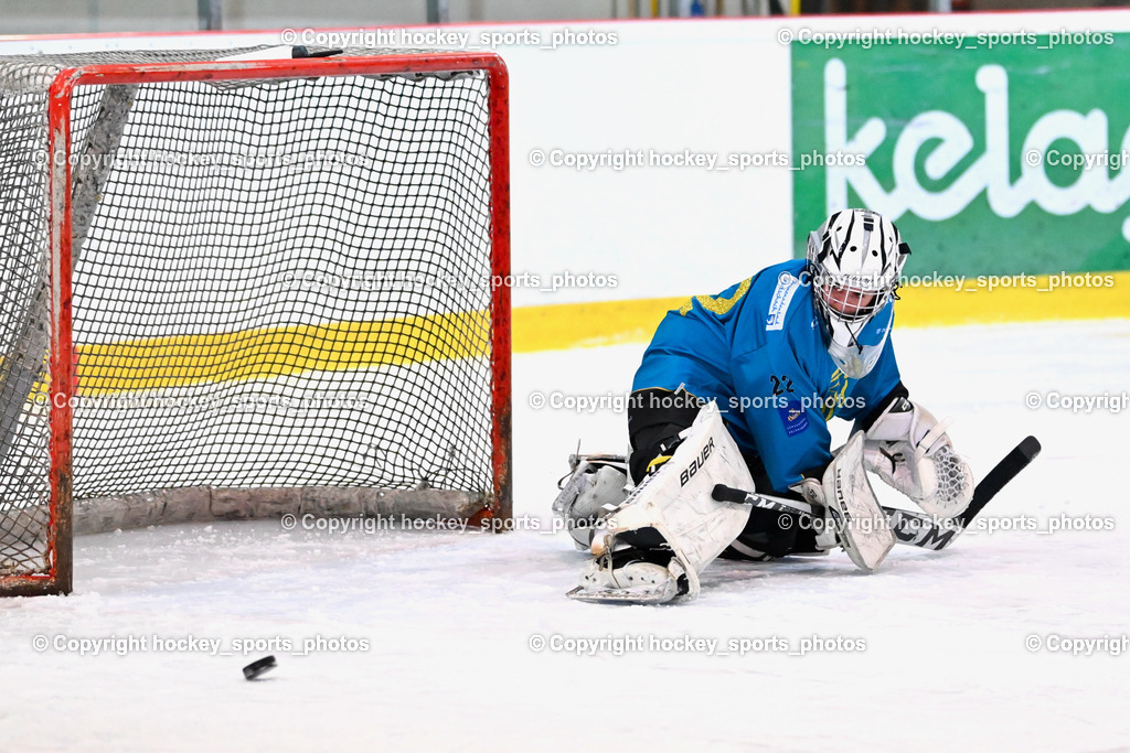 BST_6508 | hockey sports photos, Pressefotos, Sportfotos, hockey247, win 2day icehockeyleague, Handball Austria, Floorball Austria, ÖVV, Kärntner Eishockeyverband, KEHV, KFV, Kärntner Fussballverband, Österreichischer Volleyballverband, Alps Hockey League, ÖFB, 