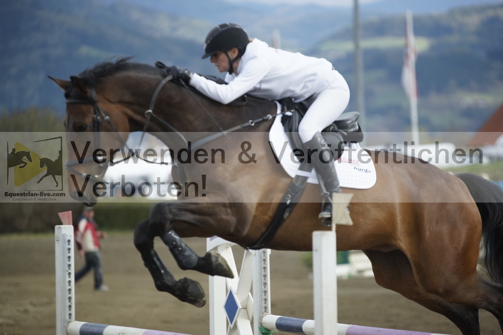 _DSC8054 | equestrian-live-com