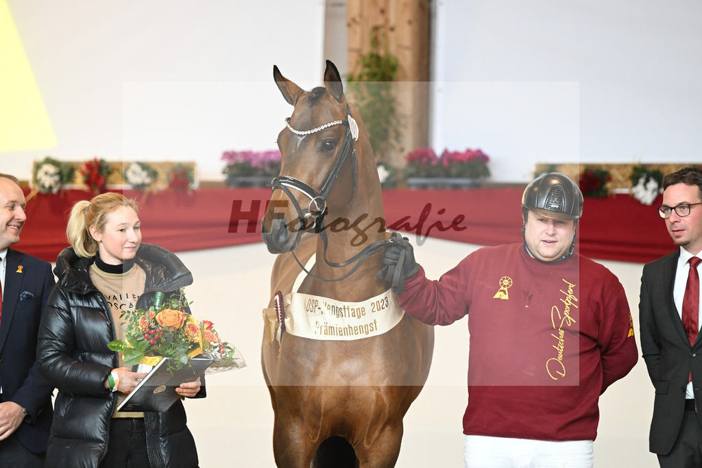 Kat-Nr. 1 Alaba_Wilbers_1231669 | hf-fotografie - Realisiert mit Pictrs.com