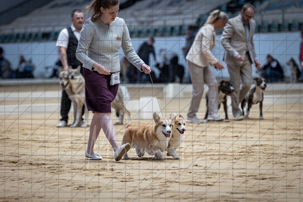 DS - Paarklasse_0057 | Markus Heber Photography