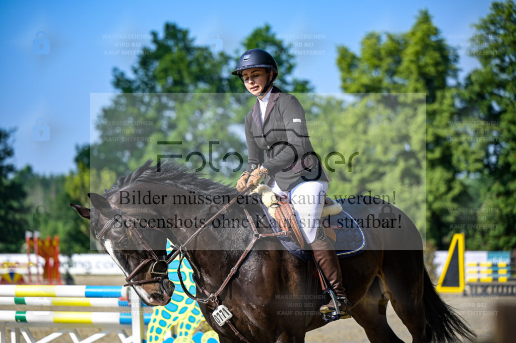 Osnabrücker Reitertage | Bilder aus dem Reitsport by Foto Oger - Domenic Schlinge - Realisiert mit Pictrs.com