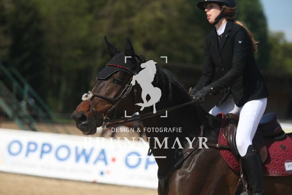 AS8V6331 | Willkommen bei Brunnmayr - Design & Fotografie – Ihrem Spezialisten für Reitturniere und Pferdeveranstaltungen in Oberösterreich, Salzburg und Bayern! Seit über 17 Jahren sind wir leidenschaftlich dabei.
