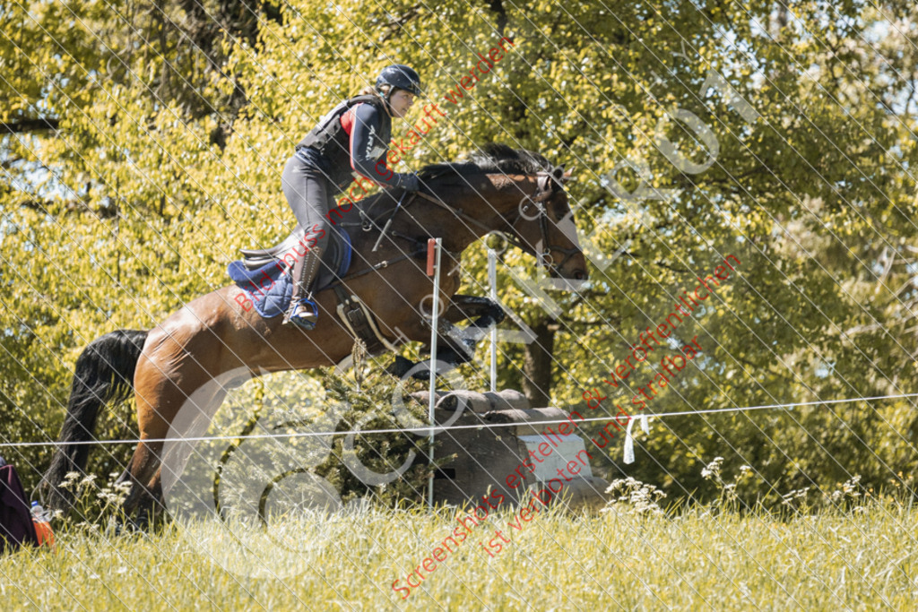 IMG_8583 | Hier findest Du viele Augenblicke aus den Bereichen der Turnier-, Sport- & Tierfotografie. Bilder mit deinem Liebling, Portrait-, Bewerbungs-, Businessbilder können ebenfalls schnell und einfach erstellt werden.