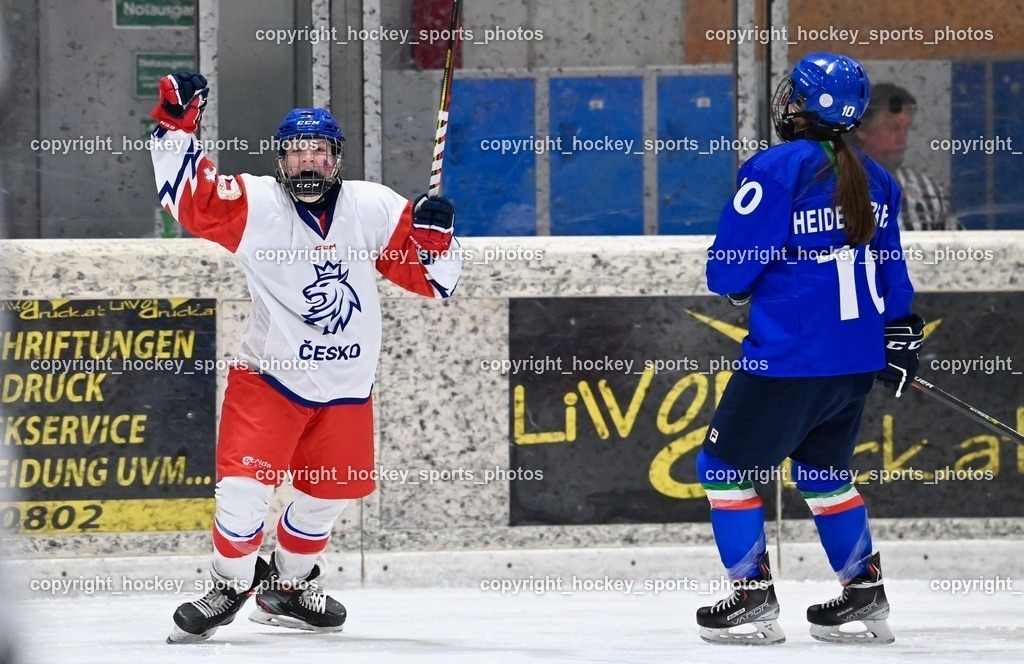 BST_5004 | hockey sports photos, Pressefotos, Sportfotos, hockey247, win 2day icehockeyleague, Handball Austria, Floorball Austria, ÖVV, Kärntner Eishockeyverband, KEHV, KFV, Kärntner Fussballverband, Österreichischer Volleyballverband, Alps Hockey League, ÖFB, 