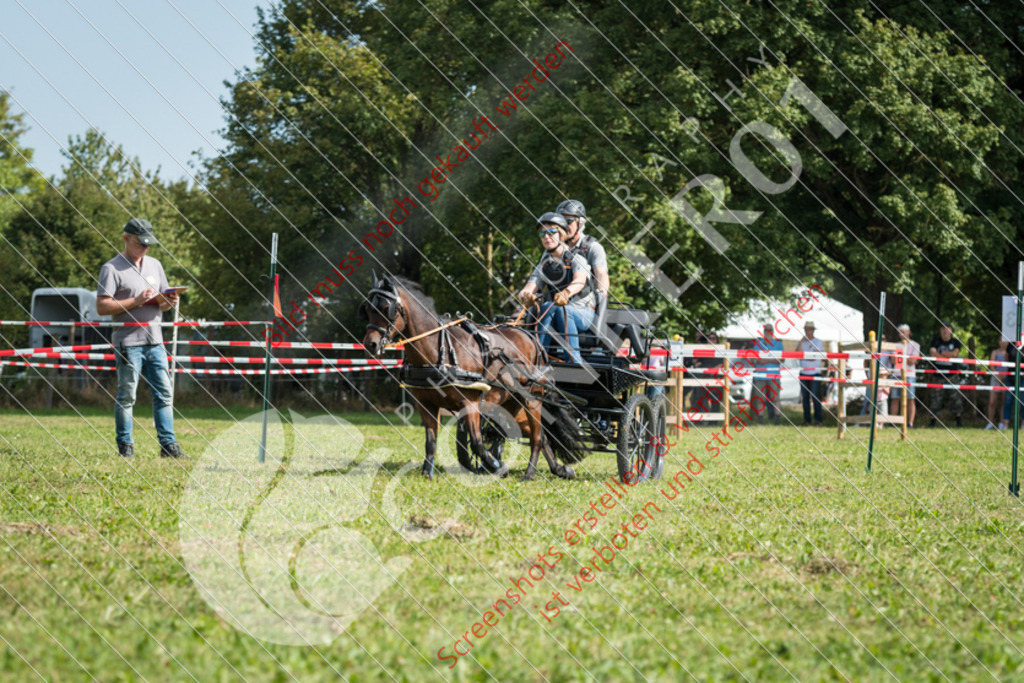 ND5_0708 | Hier findest Du viele Augenblicke aus den Bereichen der Turnier-, Sport- & Tierfotografie. Bilder mit deinem Liebling, Portrait-, Bewerbungs-, Businessbilder können ebenfalls schnell und einfach erstellt werden.