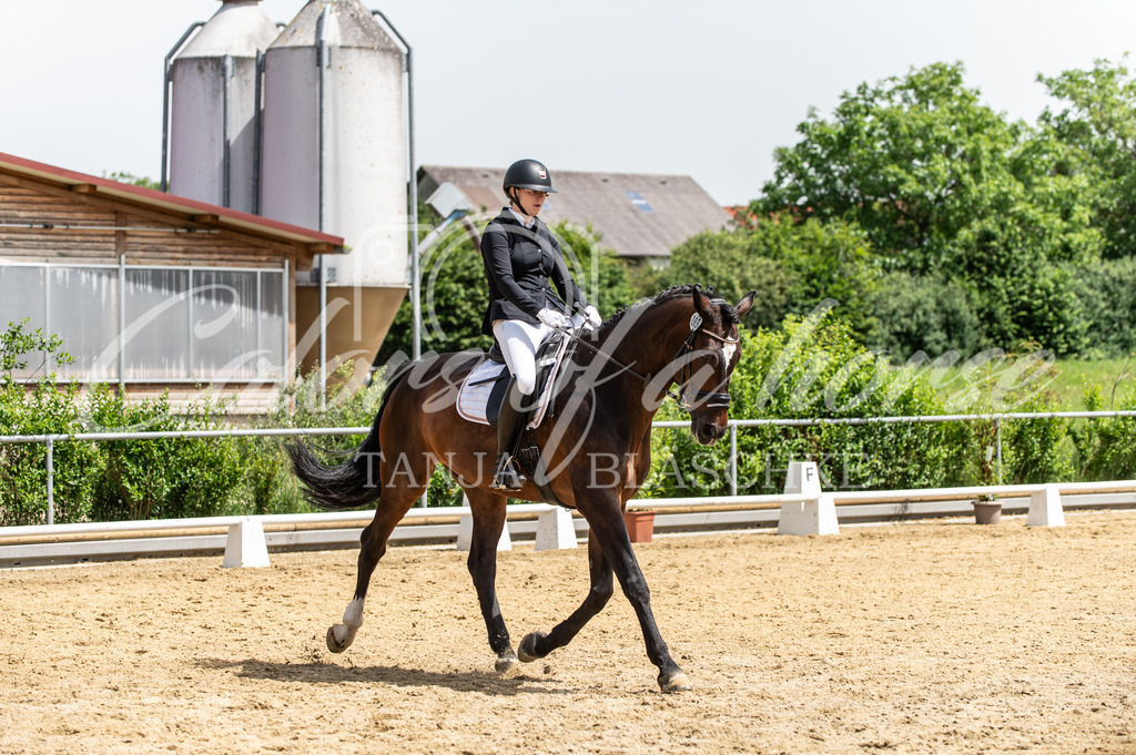 TBL_1435 | Turnierfotos von Reitturnieren in den Landkreisen Biberach, Ravensburg und in ganz Oberschwaben - von Tanja Bläschke - Colorsofahorse - Realisiert mit Pictrs.com